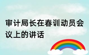 審計局長在春訓動員會議上的講話