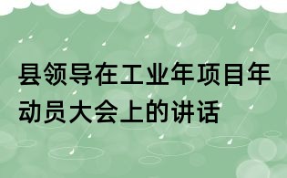 縣領導在工業年項目年動員大會上的講話