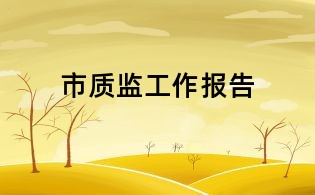 市質監工作報告