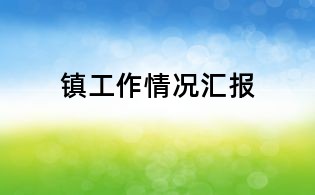 鎮工作情況匯報