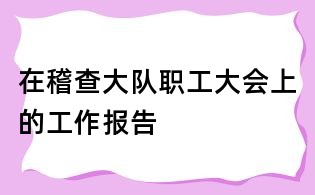 在稽查大隊職工大會上的工作報告