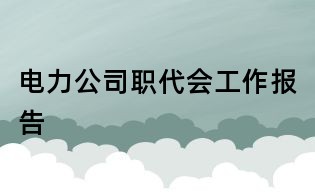 電力公司職代會工作報告