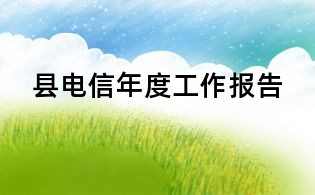 縣電信年度工作報告
