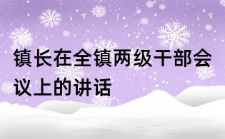鎮長在全鎮兩級干部會議上的講話