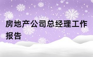 房地產公司總經理工作報告