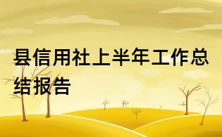 縣信用社上半年工作總結報告