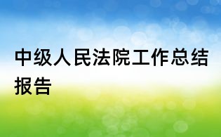 中級人民法院工作總結報告