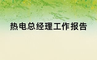 熱電總經理工作報告