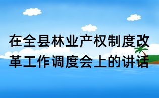 在全縣林業產權制度改革工作調度會上的講話