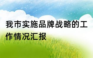 我市實施品牌戰略的工作情況匯報