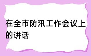 在全市防汛工作會議上的講話