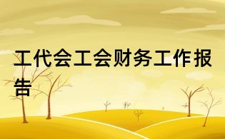 工代會工會財務工作報告
