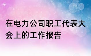 在電力公司職工代表大會上的工作報告