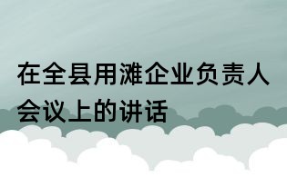 在全縣用灘企業(yè)負責人會議上的講話