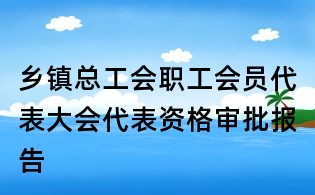 鄉鎮總工會職工會員代表大會代表資格審批報告