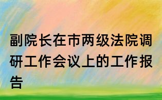 副院長在市兩級法院調研工作會議上的工作報告