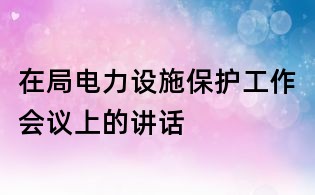 在局電力設(shè)施保護工作會議上的講話