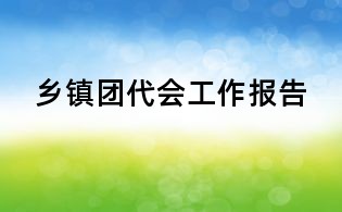 鄉鎮團代會工作報告