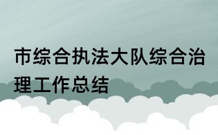 市綜合執法大隊綜合治理工作總結