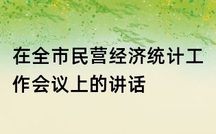 在全市民營經(jīng)濟(jì)統(tǒng)計(jì)工作會(huì)議上的講話