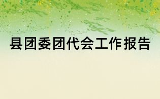 縣團委團代會工作報告