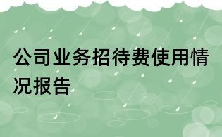 公司業務招待費使用情況報告