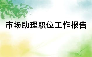 市場助理職位工作報告