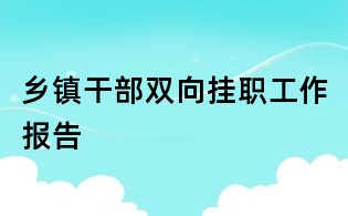 鄉鎮干部雙向掛職工作報告