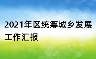 2021年區統籌城鄉發展工作匯報