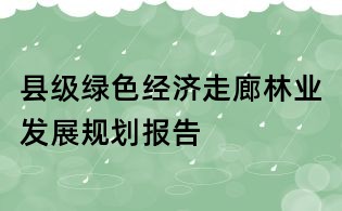 縣級綠色經濟走廊林業發展規劃報告