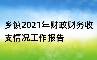 鄉鎮2021年財政財務收支情況工作報告