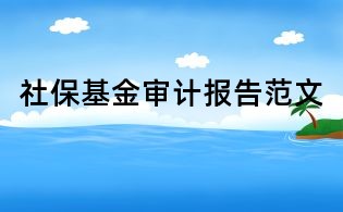 社保基金審計(jì)報(bào)告范文
