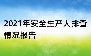 2021年安全生產大排查情況報告
