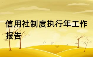 信用社制度執行年工作報告