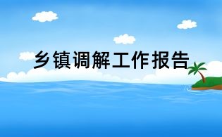 鄉(xiāng)鎮(zhèn)調(diào)解工作報(bào)告