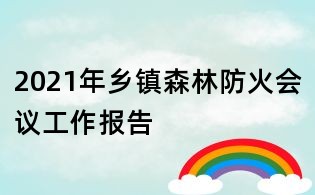2021年鄉鎮森林防火會議工作報告