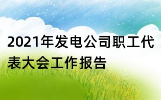 2021年發電公司職工代表大會工作報告