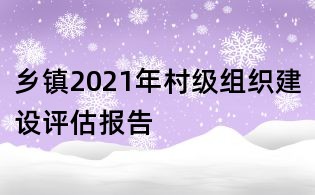 鄉鎮2021年村級組織建設評估報告