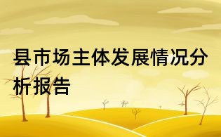 縣市場主體發展情況分析報告
