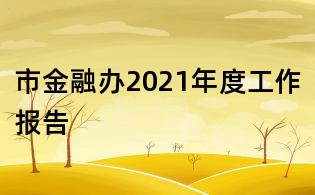 市金融辦2021年度工作報告
