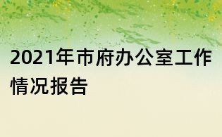 2021年市府辦公室工作情況報告