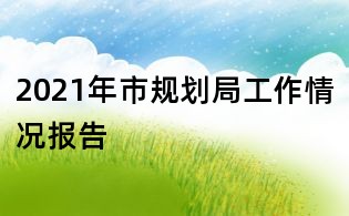 2021年市規劃局工作情況報告