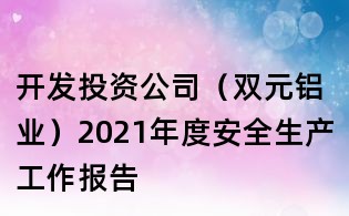 開(kāi)發(fā)投資公司(雙元鋁業(yè))2021年度安全生產(chǎn)工作報(bào)告