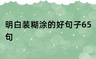 明白裝糊涂的好句子65句