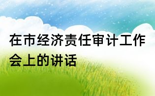 在市經濟責任審計工作會上的講話