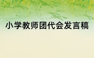小學教師團代會發言稿