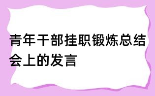 青年干部掛職鍛煉總結會上的發言