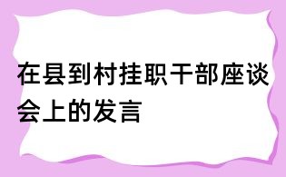 在縣到村掛職干部座談會上的發言