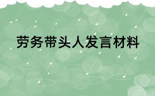 勞務帶頭人發言材料