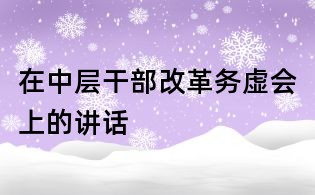 在中層干部改革務虛會上的講話